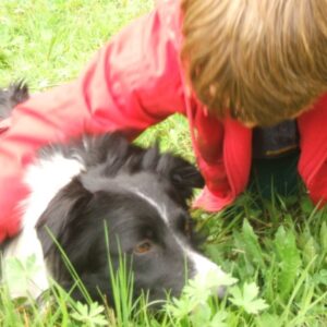 kurs dogoterapii - elearningowy