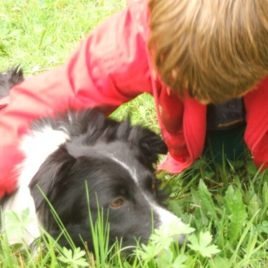 kurs dogoterapii - elearningowy