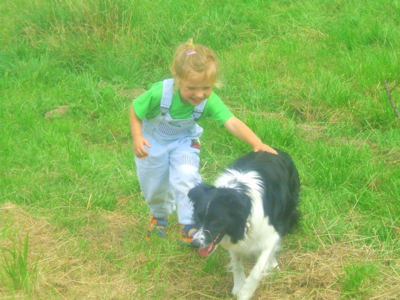 Kurs dogoterapii – elearningowy